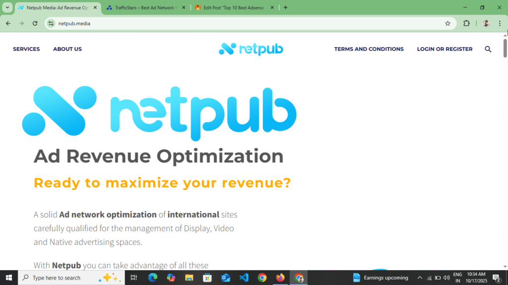 NetPub Adsense Alternative Website 