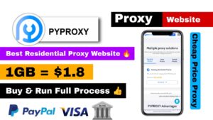 PYPROXY Best Proxy Website